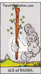 Ace of Wands